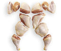 Cut Guinea Fowl (Stewing Hen)