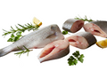 Fresh croaker fish cut into steaks showing sides and cross-section